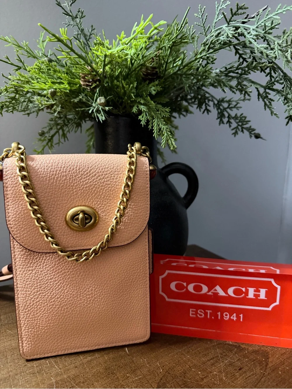 Coach Liv Crossbody Bag - Picture 11 of 14
